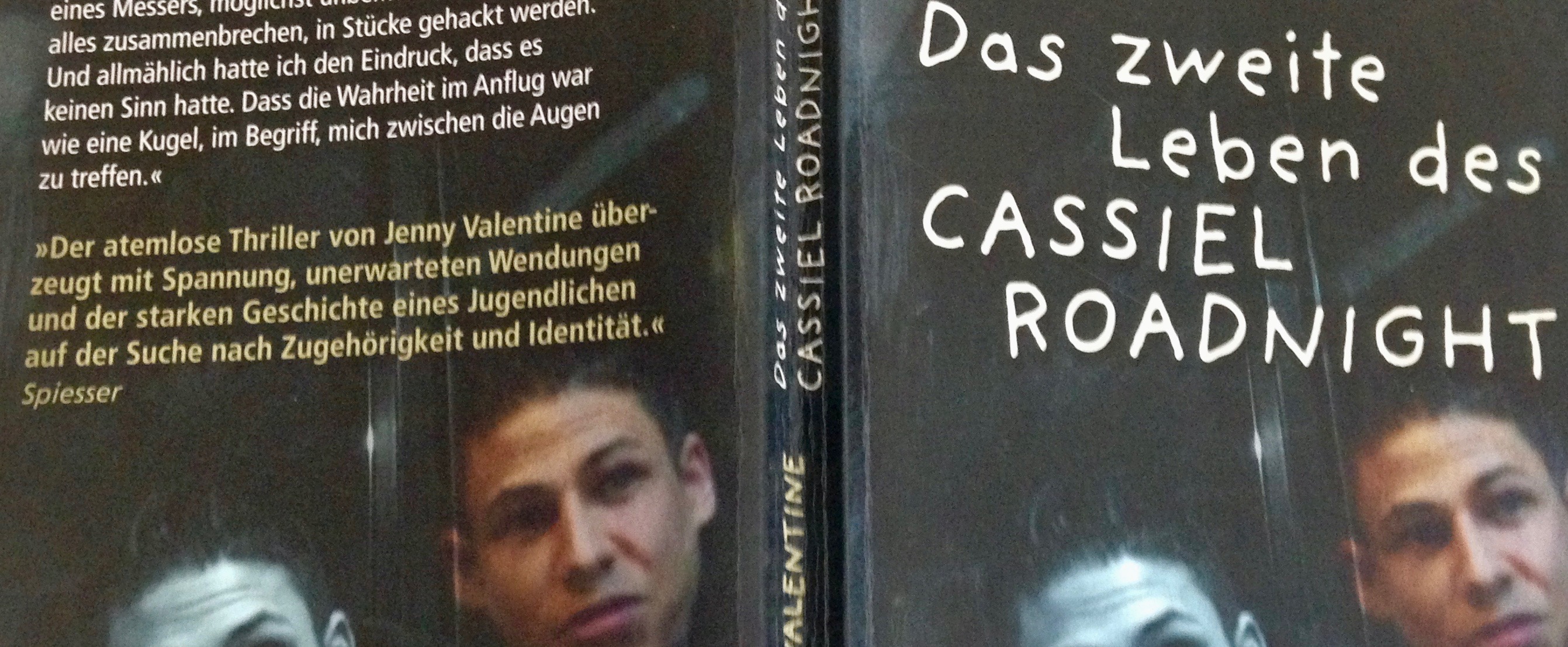 Buchcover "Das zweite Leben des Cassiel Roadnight"