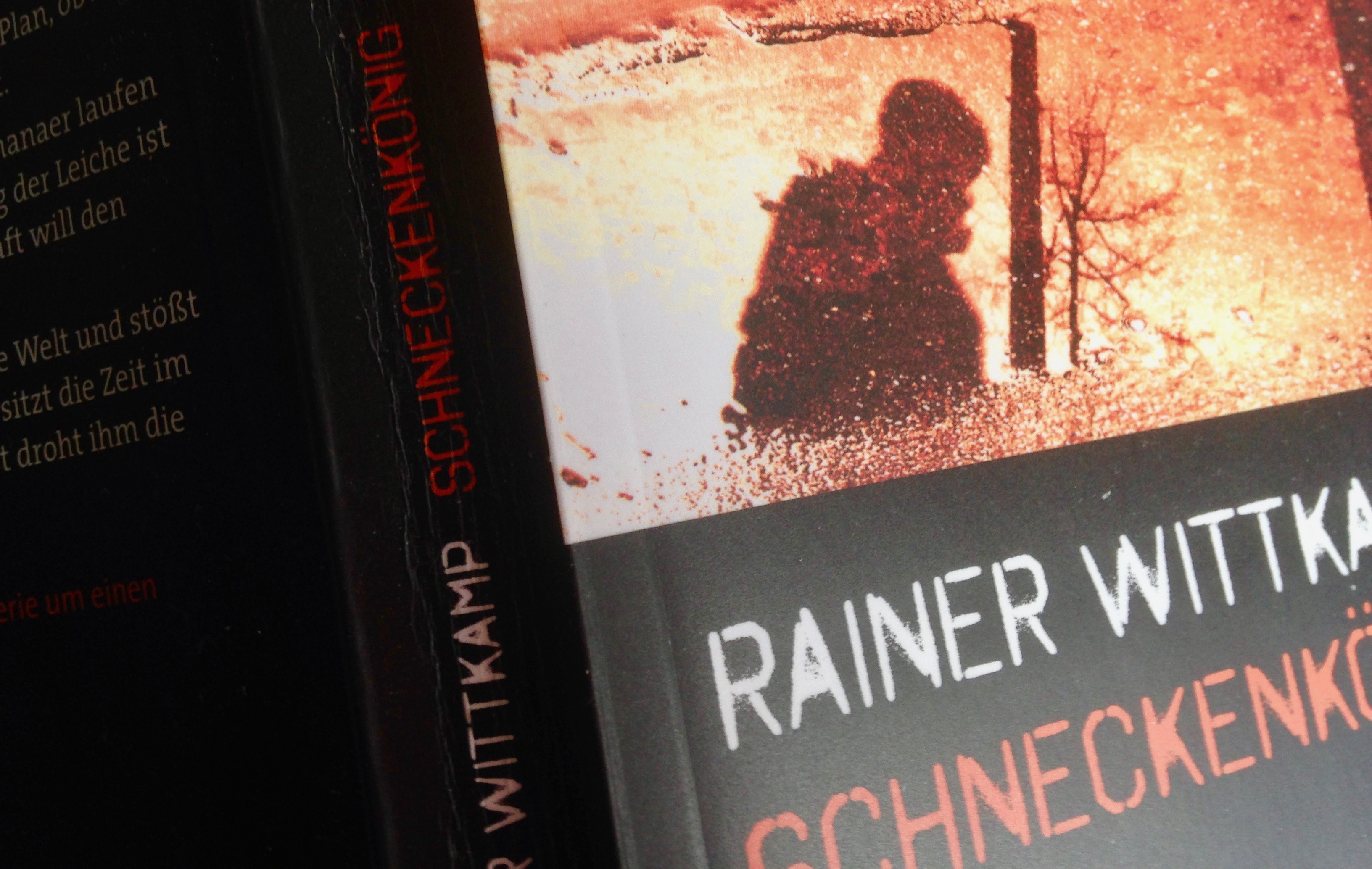 Buchcover "Schneckenkönig"